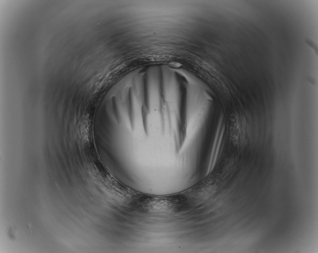 X0000099460604200805231808