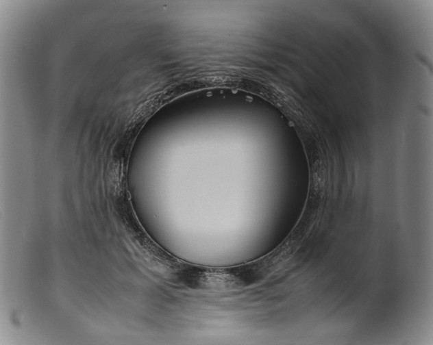 X0000099460605200805231808