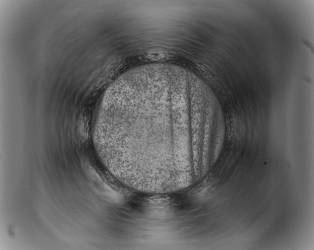 X0000099460606200805231808