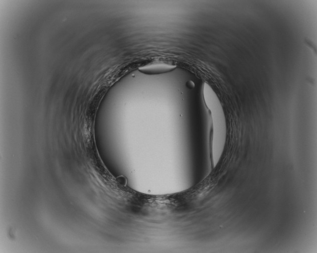 X0000099460607200805231808