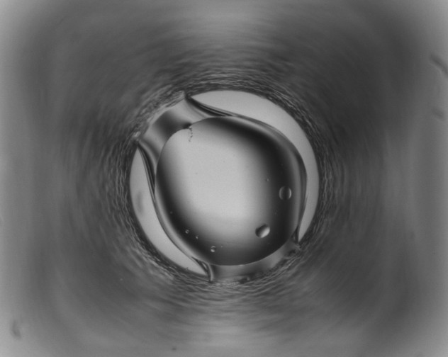 X0000099460609200805231808