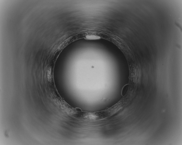 X0000099460610200805231808