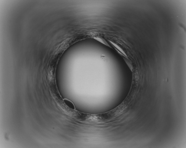 X0000099460611200805231808