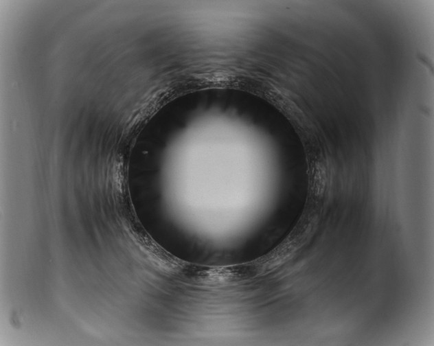 X0000099460612200805231808