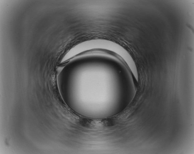 X0000099460613200805231808