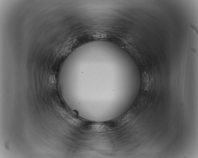 X0000099460614200805231808