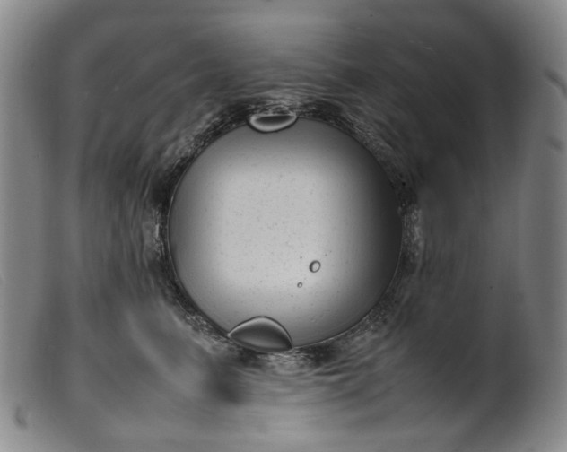 X0000099460615200805231808