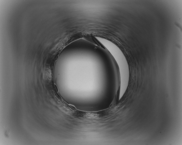 X0000099460617200805231808