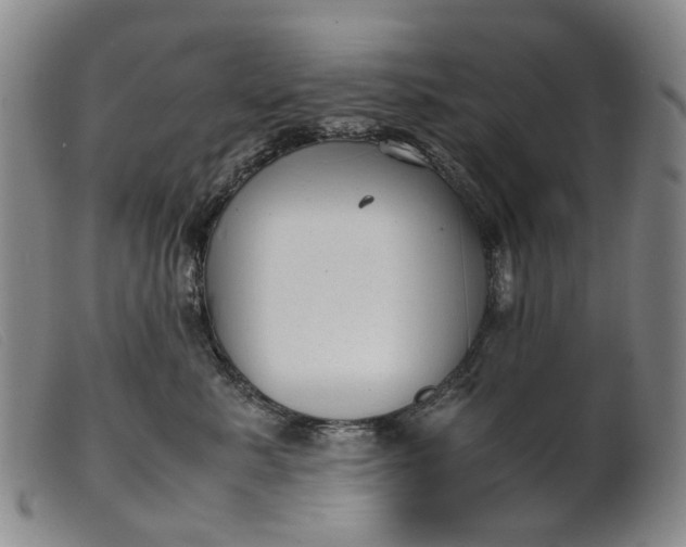 X0000099460619200805231808