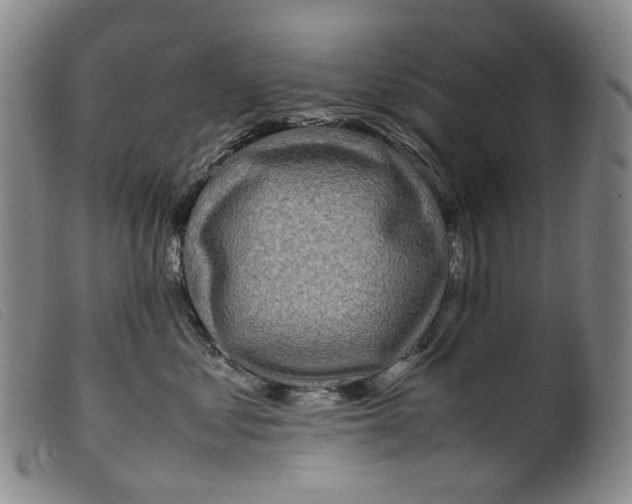 X0000099460621200805231808