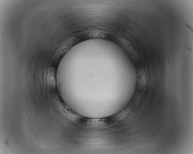 X0000099460622200805231808