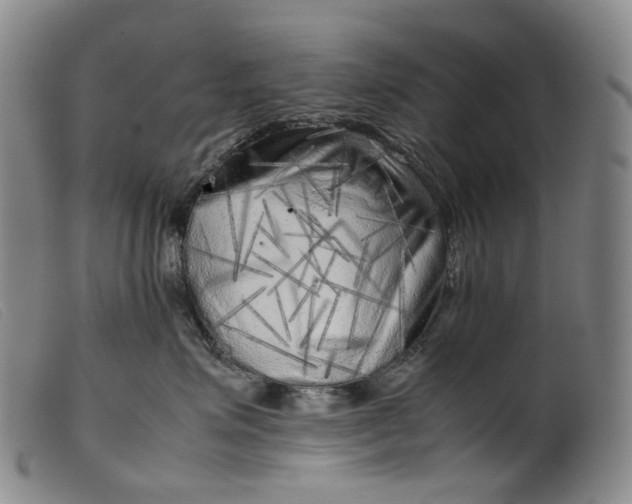 X0000099460623200805231808