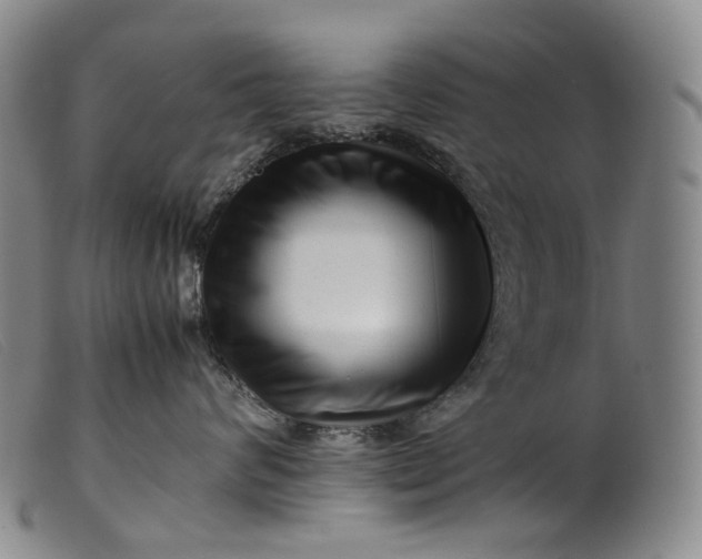 X0000099460624200805231808