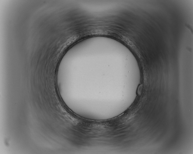 X0000099460625200805231807