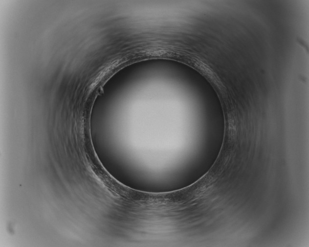 X0000099460626200805231807