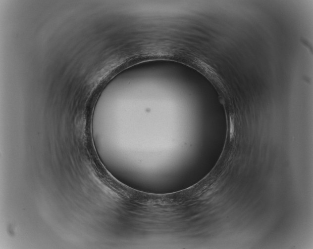 X0000099460627200805231807