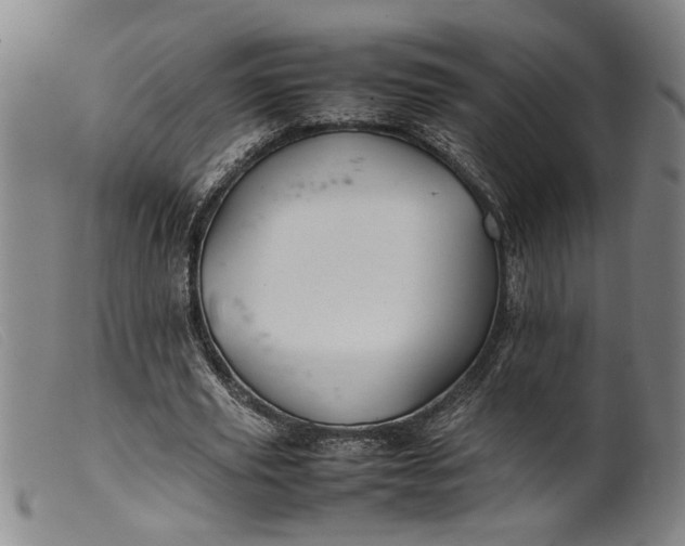 X0000099460629200805231807