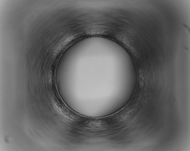 X0000099460631200805231807