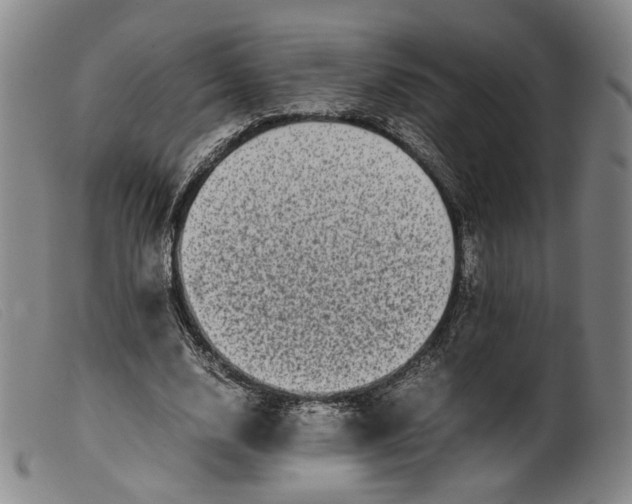 X0000099460632200805231807