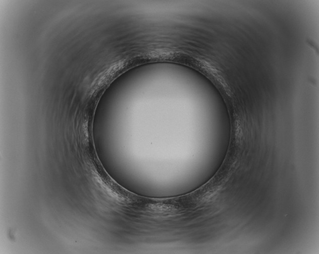 X0000099460633200805231807