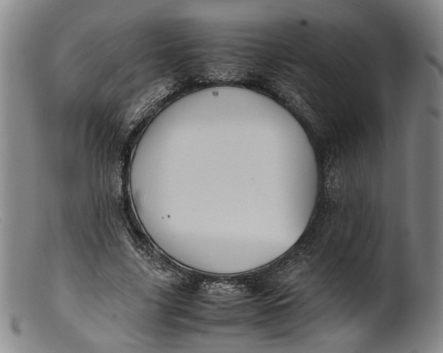 X0000099460635200805231807