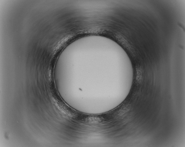 X0000099460636200805231807