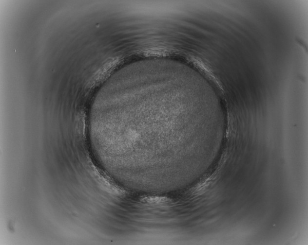 X0000099460637200805231807