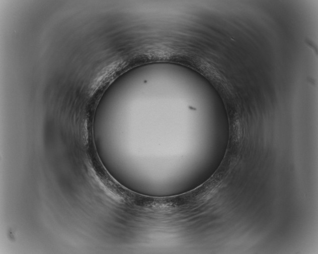 X0000099460638200805231807