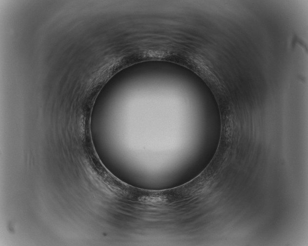 X0000099460639200805231807