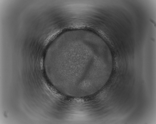 X0000099460640200805231807