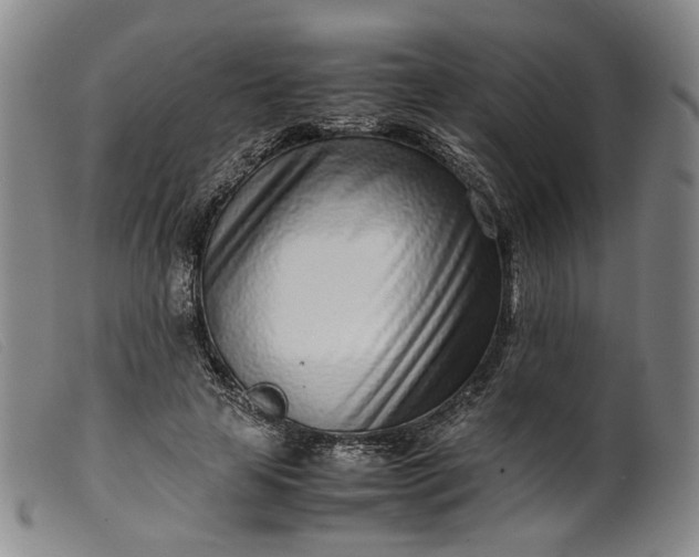 X0000099460641200805231807