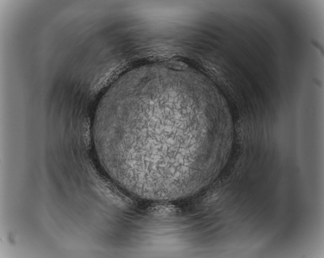 X0000099460642200805231807