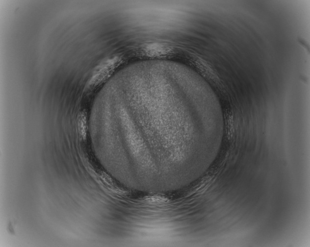 X0000099460644200805231807