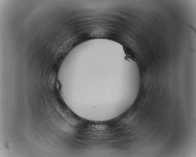 X0000099460645200805231807