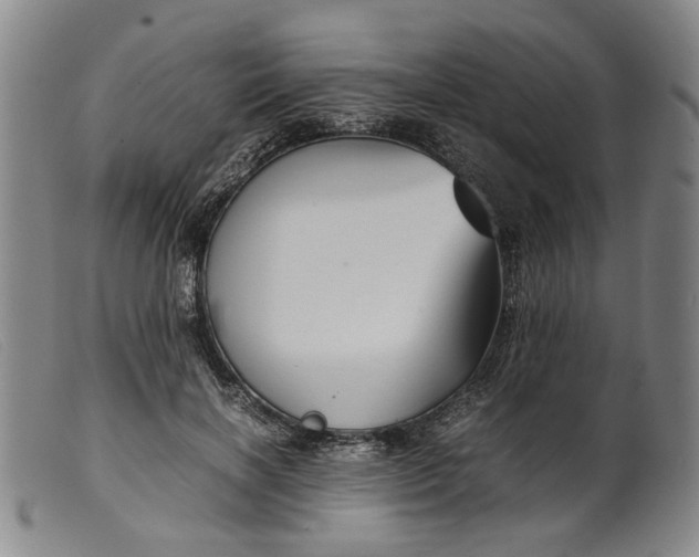 X0000099460646200805231807