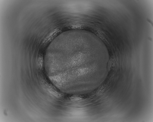 X0000099460648200805231807