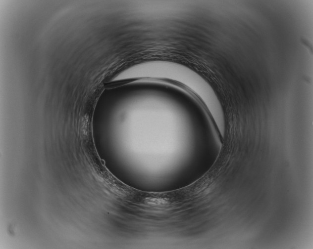 X0000099460649200805231807