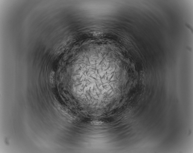 X0000099460650200805231807