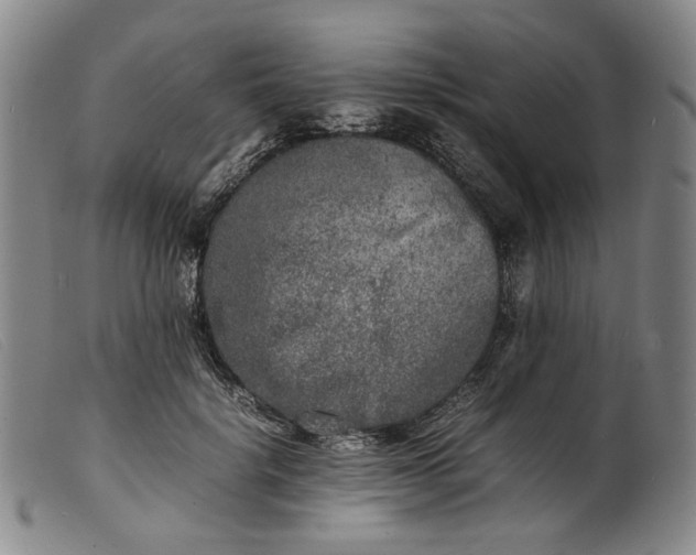 X0000099460652200805231807