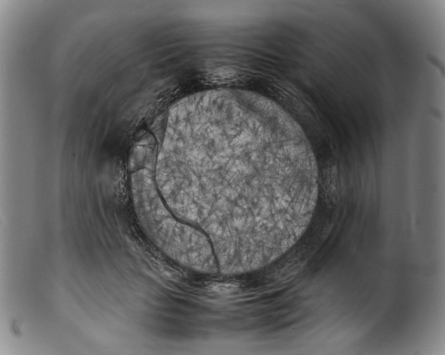 X0000099460653200805231807