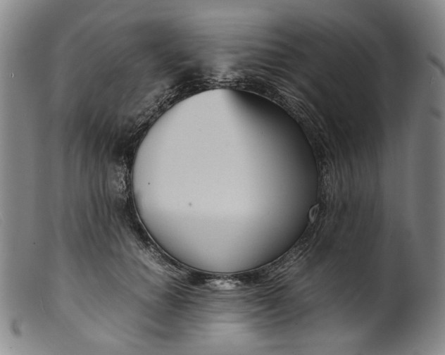 X0000099460654200805231807