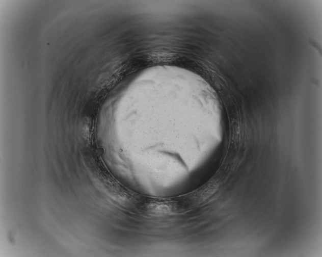 X0000099460655200805231807