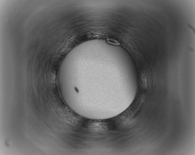 X0000099460657200805231807