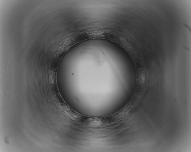 X0000099460658200805231807