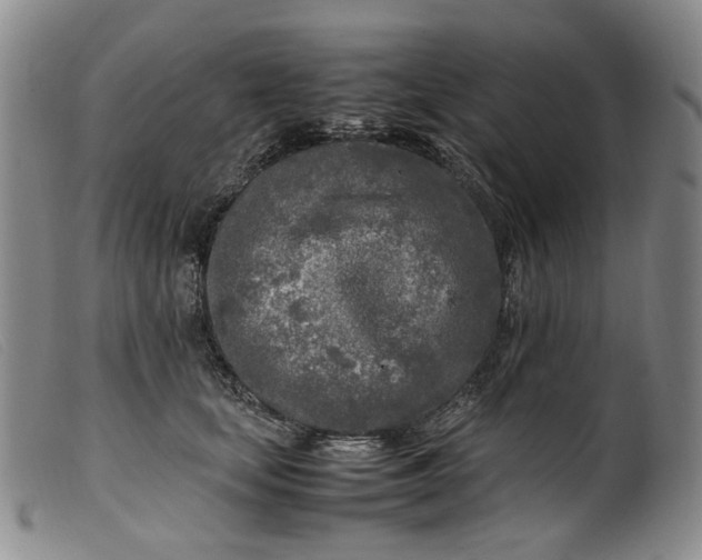 X0000099460659200805231807