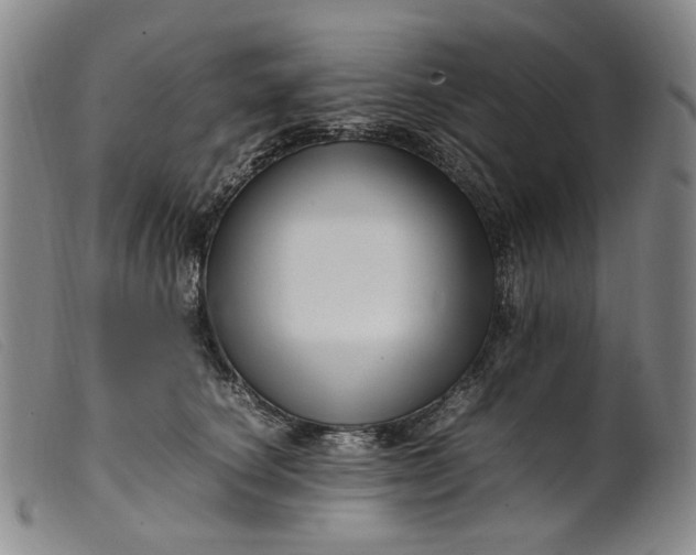 X0000099460660200805231807