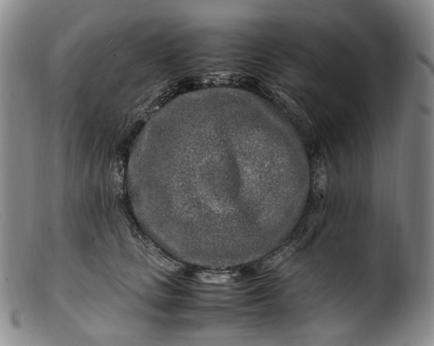 X0000099460661200805231807