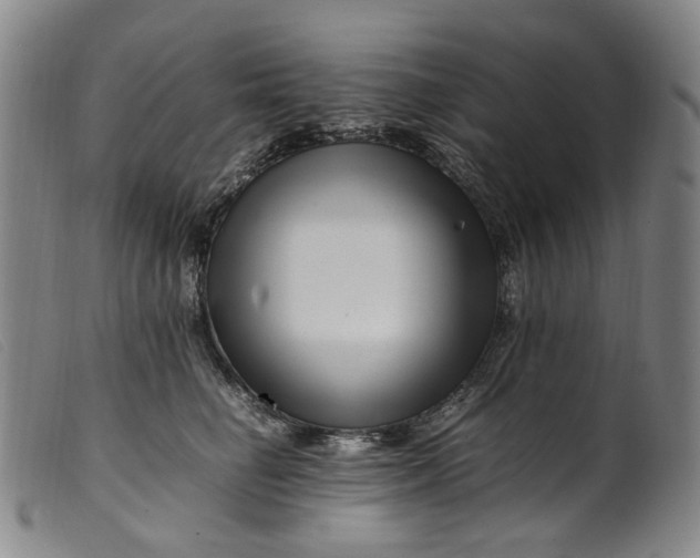 X0000099460662200805231807