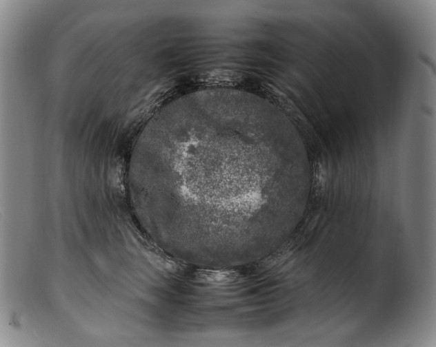 X0000099460663200805231807