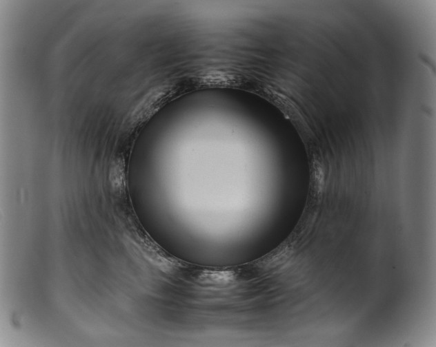 X0000099460665200805231807